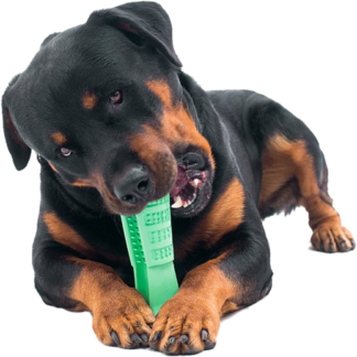 Morsino - Lo Spazzolino per Cani Efficace che Salva i Denti del Tuo Cane!